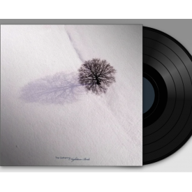 Nighttime Birds (Black Vinyl)